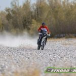 XEF RALLY (2)-53
