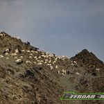 Dakar 2023 – Stage 2 © OFFROADCRACKS.com-176