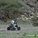 Dakar 2023 – Stage 2 © OFFROADCRACKS.com-177