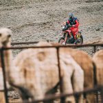 Dakar 2023 – Stage 2 © OFFROADCRACKS.com-366