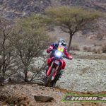 Dakar 2023 – Stage 8 © OFFROADCRACKS-1