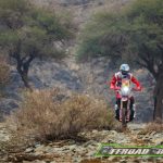 Dakar 2023 – Stage 8 © OFFROADCRACKS-43