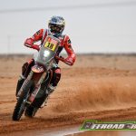 SAILING – ROUTE DU RHUM 2022 – ARRIVAL