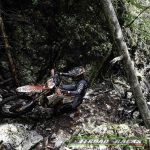 FIM Hardenduro Round 1 Xross Day 2@ FIM Hardenduro-15