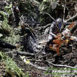 FIM Hardenduro Round 1 Xross Day 2@ FIM Hardenduro-2