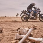AFrica Eco Race 2024 – Stage 11 © AER-11