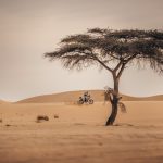 Africa Eco Race 2024 – Stage 7 © AER-34