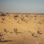Africa Eco Race 2024 – Stage 9 © AER-6069
