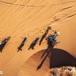 Africe Eco Race 2024 – Stage 8 © AER-18