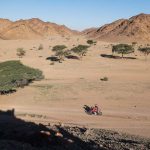 Dakar 2024 – Stage 10 © A.S.O-51