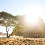 Dakar 2024 – Stage 10 © A.S.O-56
