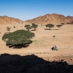 Dakar 2024 – Stage 10 © A.S.O-58
