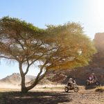 Dakar 2024 – Stage 10 © A.S.O-61