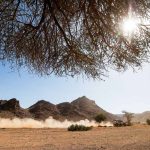 Dakar 2024 – Stage 10 © A.S.O-64