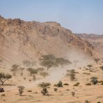 Dakar 2024 – Stage 10 © A.S.O-69