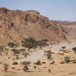 Dakar 2024 – Stage 10 © A.S.O-71
