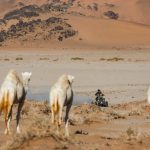 Dakar 2024 – Stage 11 © A.S.O-16