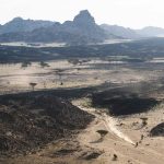 Dakar 2024 – Stage 12 © A.S.O-192