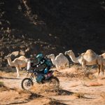 Dakar 2024 – Stage 12 © A.S.O-334