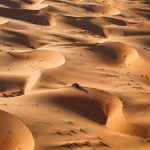 Dakar 2024 – Stage 5 © A.S.O-22
