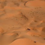 Dakar 2024 – Stage 6 I © A.S.O–51