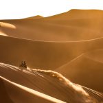 Dakar 2024 – Stage 6 I © A.S.O–65