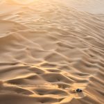 Dakar 2024 – Stage 6II © A.S.O–107