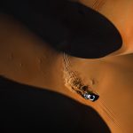 Dakar 2024 – Stage 6II © A.S.O–110