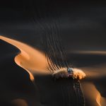 Dakar 2024 – Stage 6II © A.S.O–3