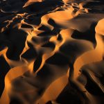 Dakar 2024 – Stage 6II © A.S.O–98