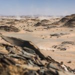 Dakar 2024 – Stage 7 © A.S.O-135