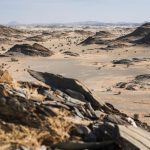 Dakar 2024 – Stage 7 © A.S.O-136