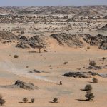 Dakar 2024 – Stage 7 © A.S.O-142
