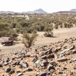 Dakar 2024 – Stage 7 © A.S.O-242