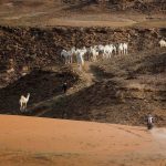 Dakar 2024 – Stage 8 © A.S.O-26