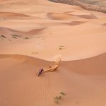 Dakar 2024 – Stage 8 © A.S.O-49