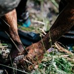 Rally Breslau 2024 – Day 4-16