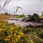Rally Breslau 2024 – Day 4-83