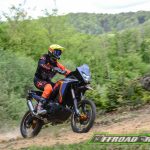 Honda Transalp XL750 2023 Action © Christof-5