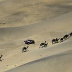 Dakar 2025 REST DAY © A.S.O-20