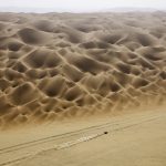 Dakar 2025 Stage 11 © A.S.O-121
