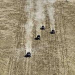 Dakar 2025 Stage 12 © A.S.O-195