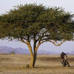 Dakar