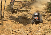 🇺🇸 BRANDON DAVIS RACING: Horsepower Everywhere – they compete in all disziplines!