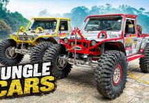 🇲🇾 Worlds Wildest Jungle Cars (Borneo Safari) – WILD TOYS!
