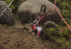 🇵🇹 ENDUROGP 2026 – Round 5 (Portugal II | FAFE): DAY 1 – report, results & VIDEO Highlights!